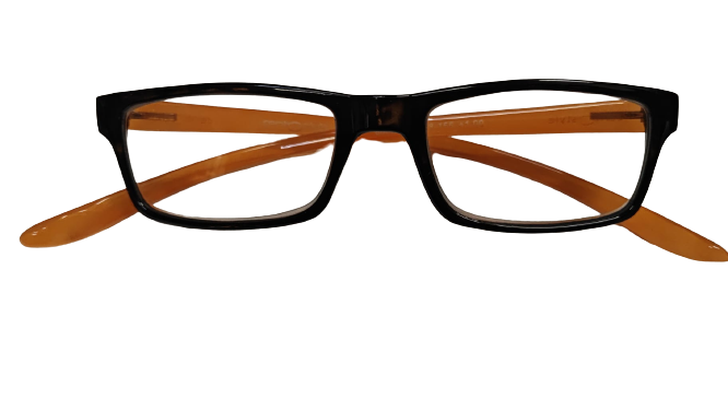 Occhiali per lettura premontati Centrostyle 68800 Reading Glasses