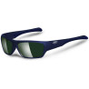 OCCHIALI DA SOLE DA SOLE GOMMOSI POLARIZZATO MONTATURA BLU 100% UV BLOCK SUNGLASSES POLARIZED LUNETTE DE SOLEIL SONNENBRILLEN